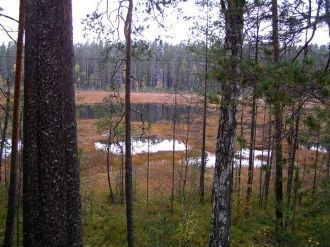Сунна берет сове начало близ границы с Ф