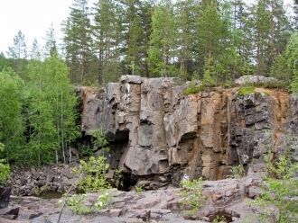 В подлеске преобладают ольха серая, жимо