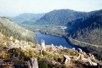 Вырубка леса на острвое Принца Уэльского