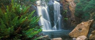 Австралийский водопад Маккензи, штат Вик
