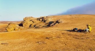 Типичный ландшафт острова Мелвилл в райо