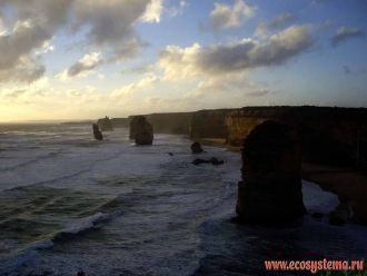 Океанологи и власти Австралии не могут п