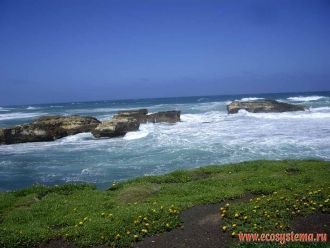 Сохранились устные рассказы аборигенов п