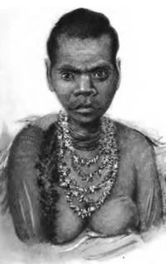 По мнению ученых, первые люди попали на 