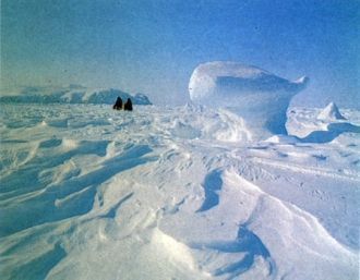 Морские ледяные поля в проливе Лонга.