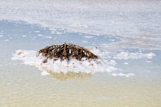 На озере прежде существовали соляные про