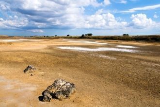 К востоку от оз. Акташ простирается обши