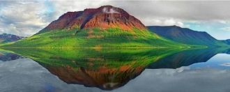 Водная растительность озера очень разноо