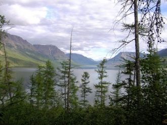 Здесь встречаются 13 видов птиц, занесен