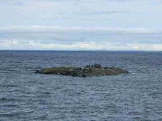 Наиболее распространенной рыбой в данном