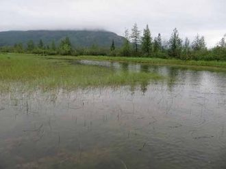 Вода пресная, прозрачная (прозрачность у
