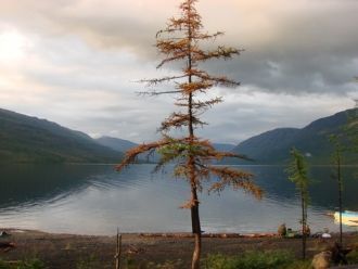 Обитатели прилегающих территорий − эвенк