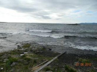 Из 15 видов рыб, обитающих в озере Кета,