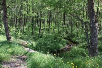 В заповеднике благодаря снятию антропоге