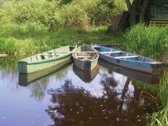 С северо-западной части заповедника на ю