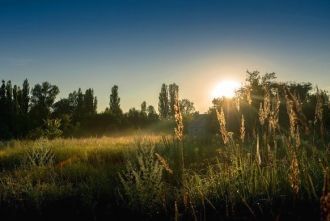 Ученые, которые работают в заповеднике, 
