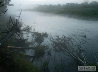 Заповедник стал гигантской международной