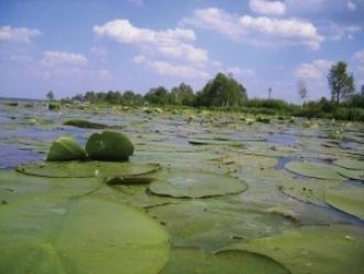 Даже в отдаленном будущем, загрязненная 