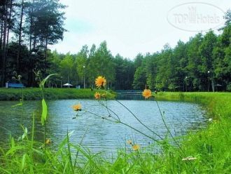 Естественная растительность — леса, луга