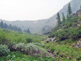 На территории данного заповедника есть г