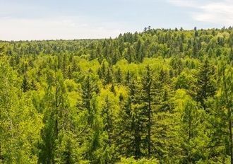 Хинганский заповедник