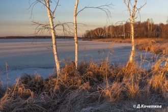 Быстрые, каменистые реки в верхнем течен