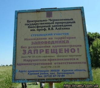 Современные учёные изучают степной биоце