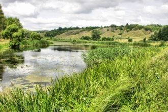 В лугово-степных сообще­ства есть та нас
