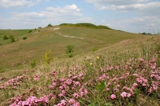 Особый интерес представляет активность з