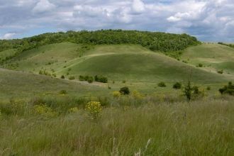 Центрально-Черноземный биосферный запове
