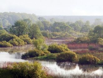 Ученые и биологи не прекращают заниматьс