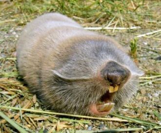 Для ученых биосферный заповедник имеет о