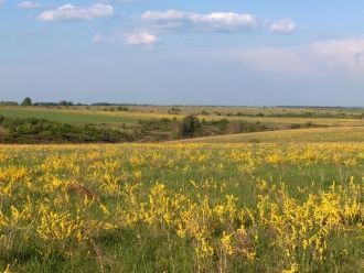 Особенность Центрально-черноземного запо