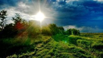 Центрально-черноземный заповедник распол