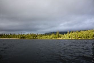 Из водных птиц в этой местности проживаю
