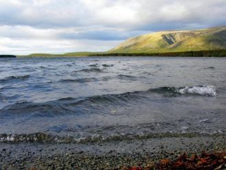 Умбозеро имеет водные виды растений, нап