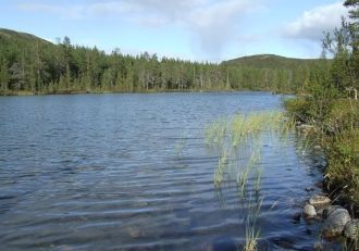 Годовое колебание уровня воды в Умбозере