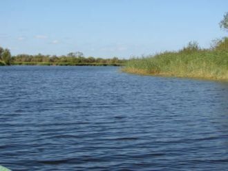 Минимальные уровни воды приходятся на фе