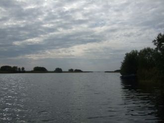 В водоеме обнаружено 38 видов растений, 