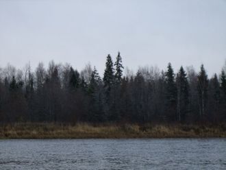 Озеро Воже одно из крупнейших водоемов В