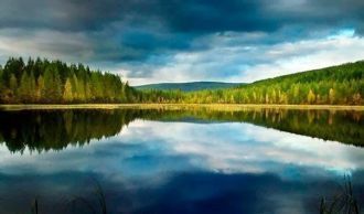 Высота озера Виви над уровнем моря – 255