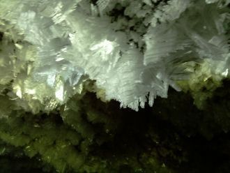 Известняк с Осетра современниками описыв