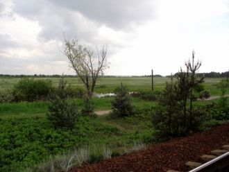 В заказнике были обнаружены большие зале