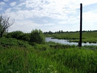 Болото никогда не подвергалось осушению,