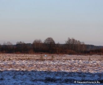 В 1978 году на болоте производились геол