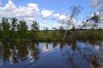 Во многом благодаря ему сохраняется попу