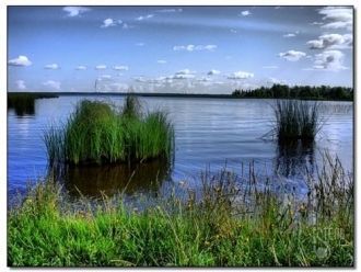 На территории заказника также сохранилис