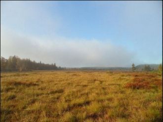 Сами по себе  ландшафты не являются уник
