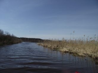 В заказнике есть залежи целебных гиттиев