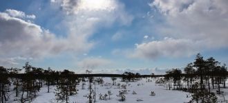 Этот заказник сыграл не последнюю роль в